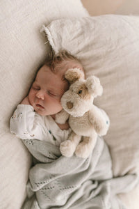 Thumbnail for Buddy the Dog Rattle