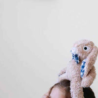 Thumbnail for Louis Rabbit - Medium