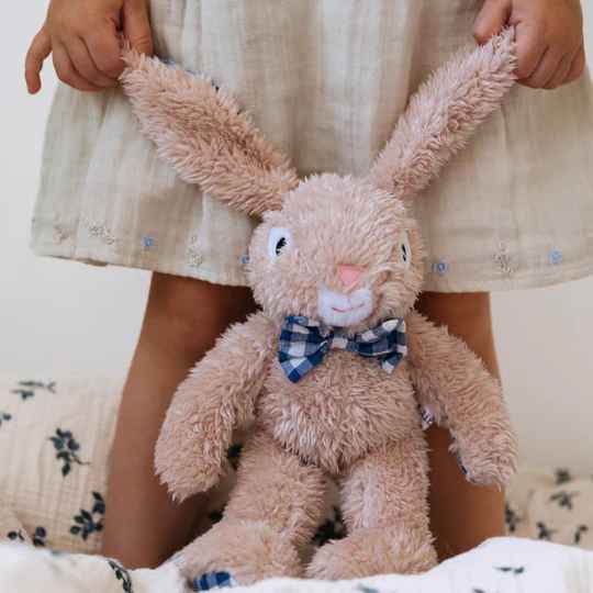 Louis Rabbit - Medium