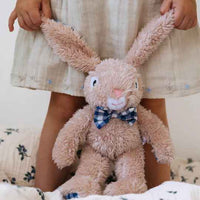 Thumbnail for Louis Rabbit - Medium
