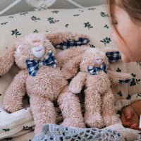 Thumbnail for Louis Rabbit - Mini
