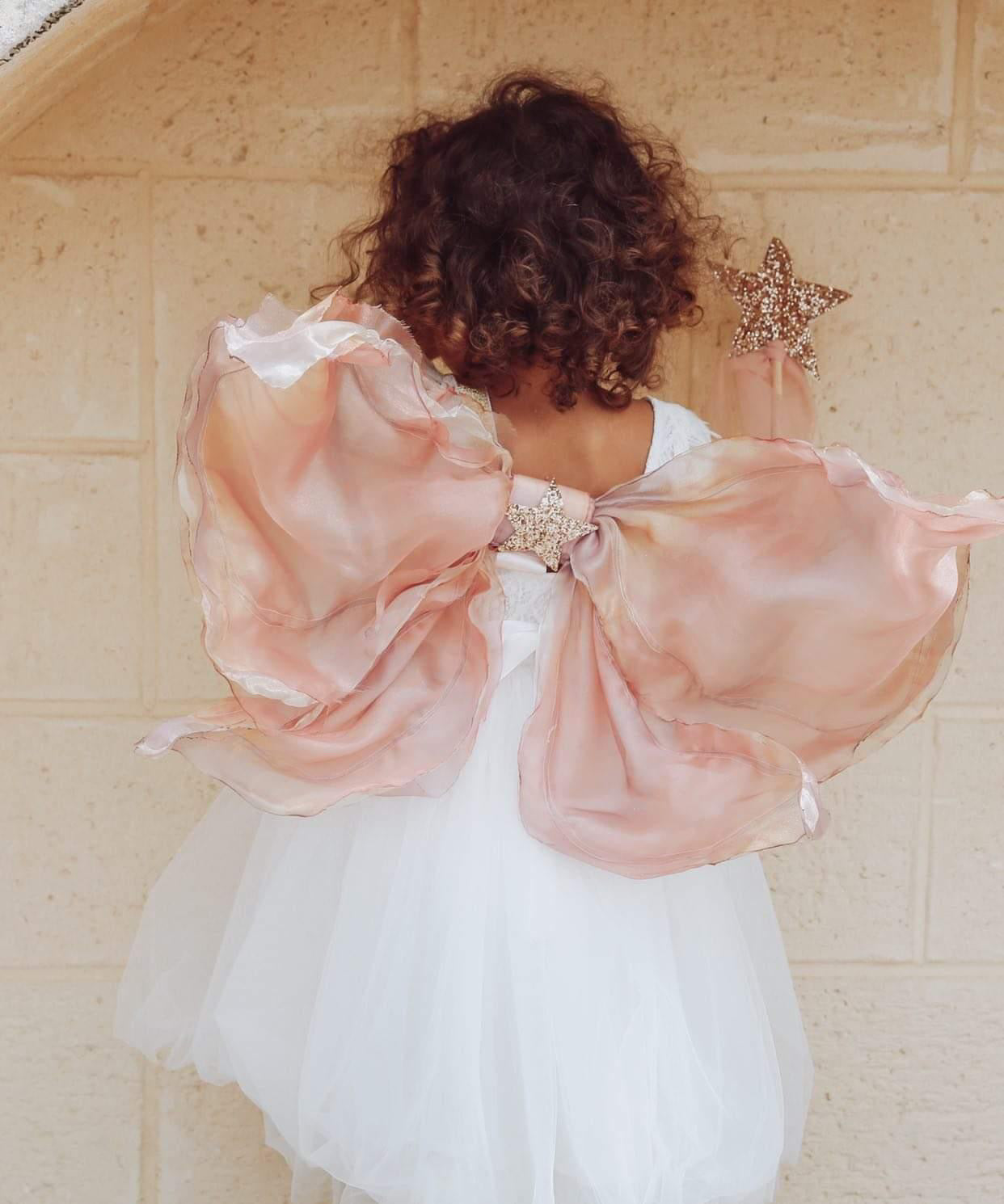 Ombre Fairy Wings, Crown & Wand