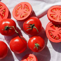 Thumbnail for Renato the Tomato