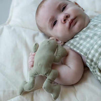 Thumbnail for Set of 3 Crinkle and Rattle Baby Toys Lily Pond
