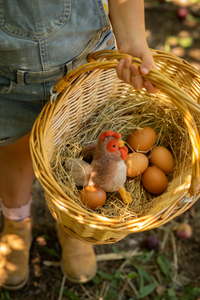 Thumbnail for Bubba Rooster Rattle