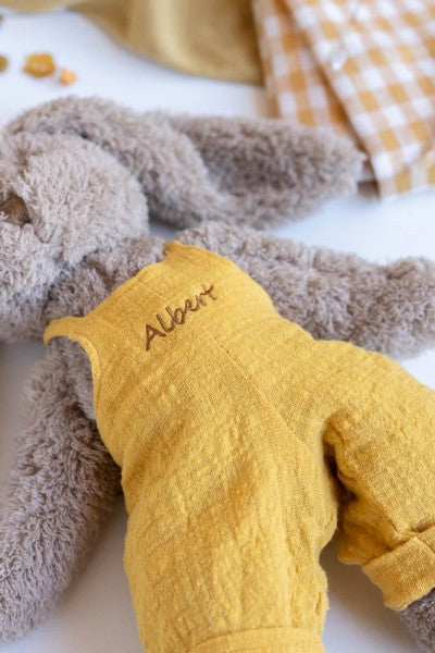 Mr Honey Bunny