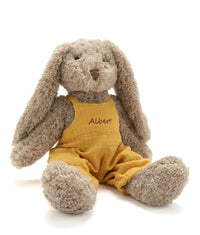 Thumbnail for Mr Honey Bunny