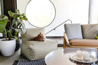 Thumbnail for Biggie Lounger