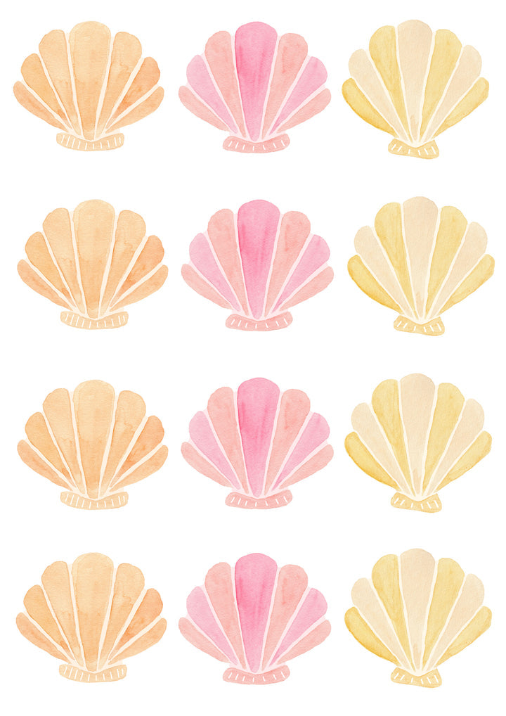 Shells Mixed - Half Set