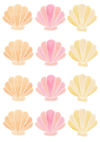 Thumbnail for Shells Mixed - Half Set