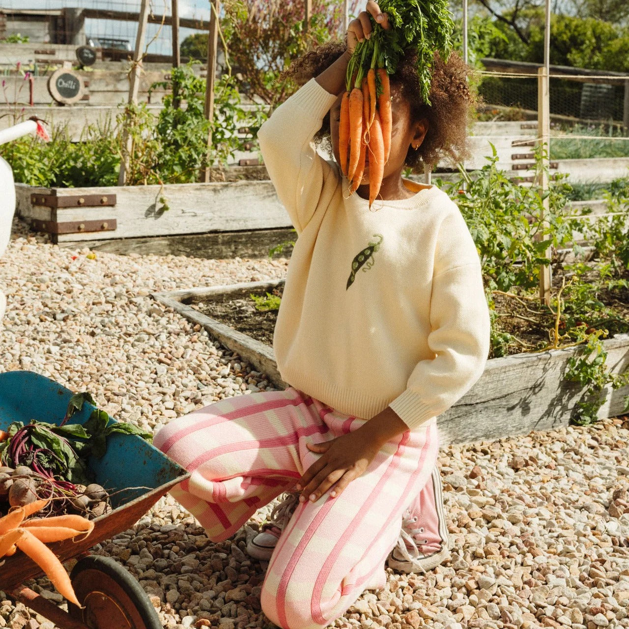Check Knit Pants Peony