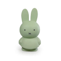 Thumbnail for Miffy Money Box