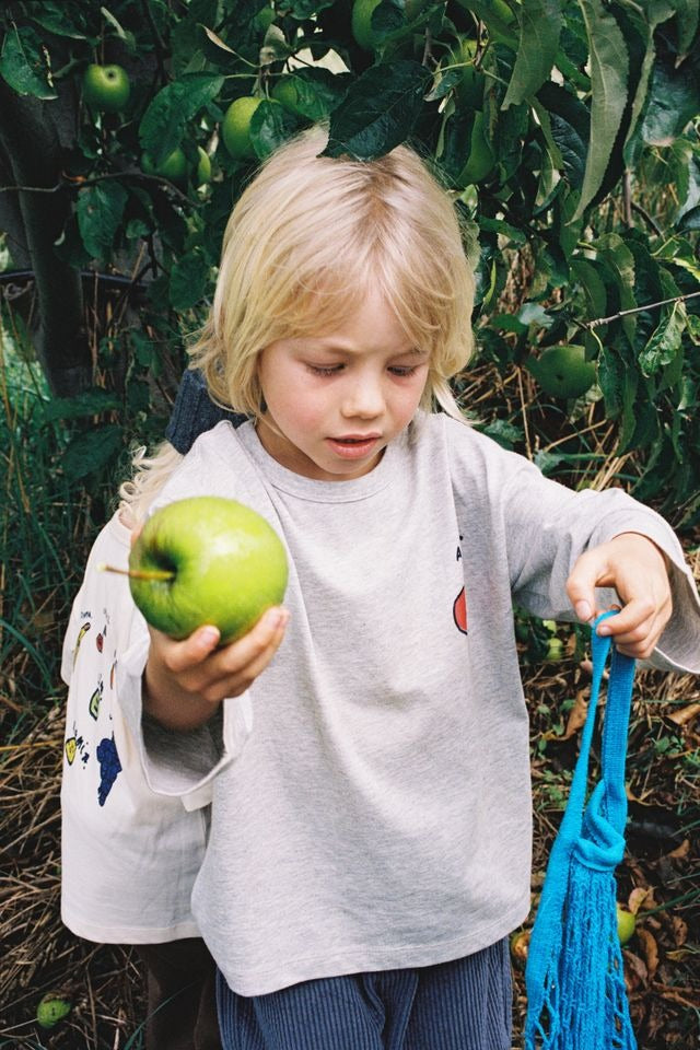 Organic Fruit Salad LS Tee Grey Marle