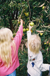 Thumbnail for Organic Fruit Salad LS Tee Grey Marle