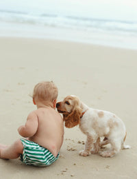 Thumbnail for Striped Boardshort Green