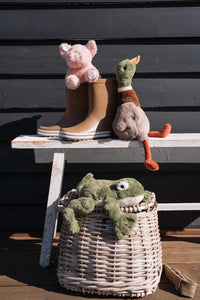 Thumbnail for Hugo the Mallard Duck