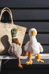 Thumbnail for Hugo the Mallard Duck