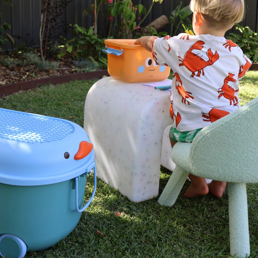 Raindrops Ride a Long Storage