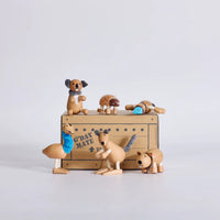 Thumbnail for Outback Bundle - 6 Australian Anamalz in Gift Crate