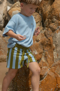Thumbnail for Vertical Stripe Knit Shorts Ocean & Leaf