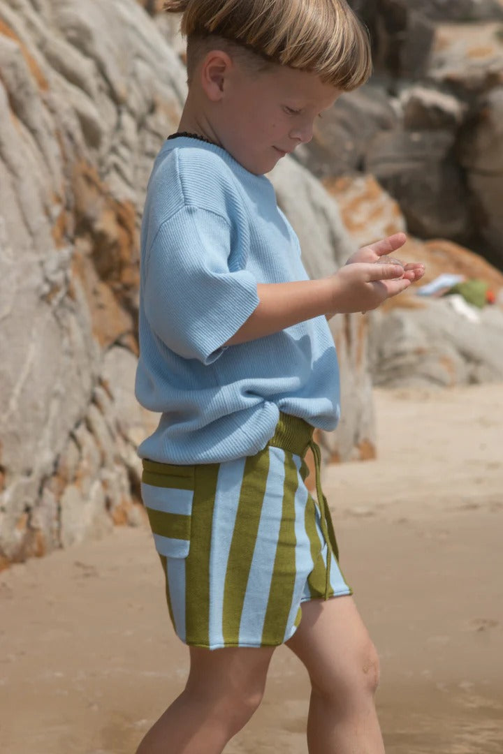 Vertical Stripe Knit Shorts Ocean & Leaf