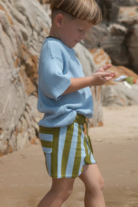 Thumbnail for Vertical Stripe Knit Shorts Ocean & Leaf