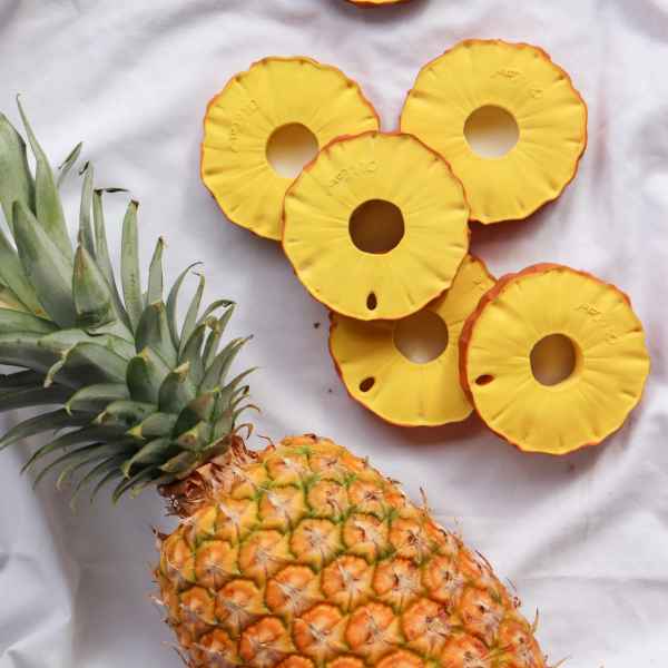 Ananas the Pineapple