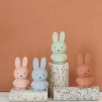 Thumbnail for Miffy Money Box