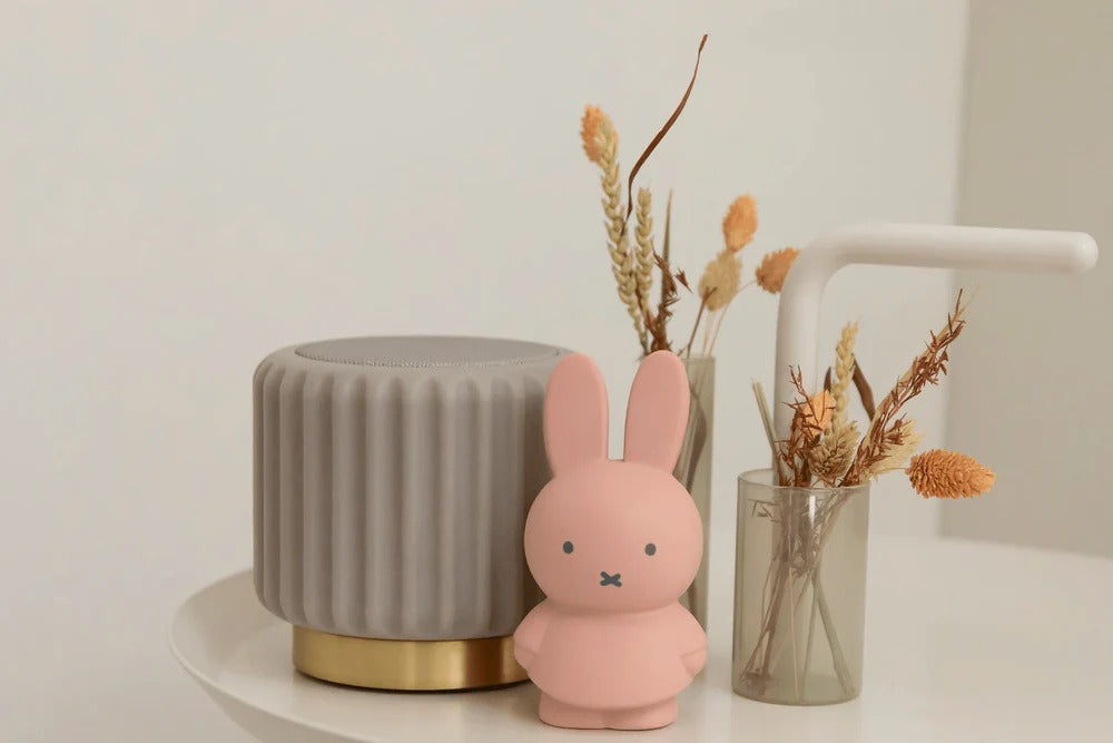Miffy Money Box