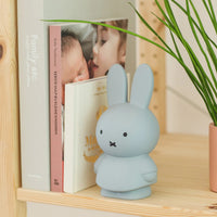 Thumbnail for Miffy Money Box