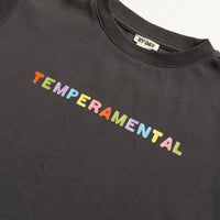 Thumbnail for Temperamental Boxy Tee Charcoal
