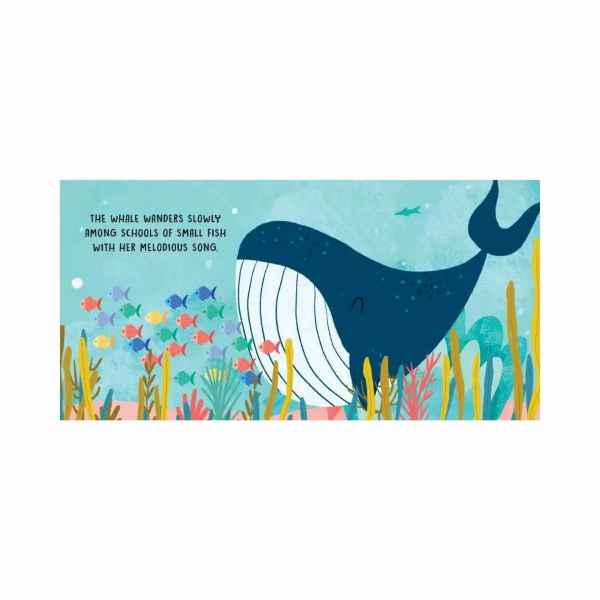 Sassi Story Book - The Sea