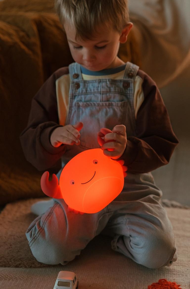 Theo Crab Night Light
