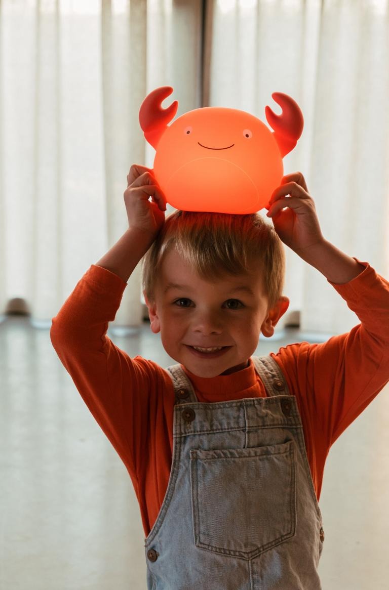 Theo Crab Night Light